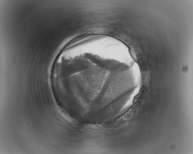 X0000097610147200803211730