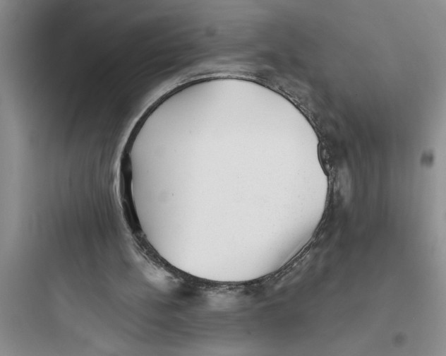 X0000097610148200803211730