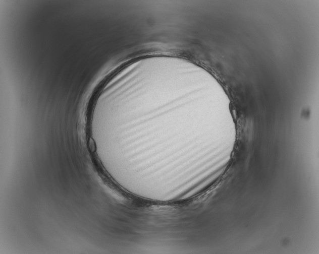 X0000097610150200803211730