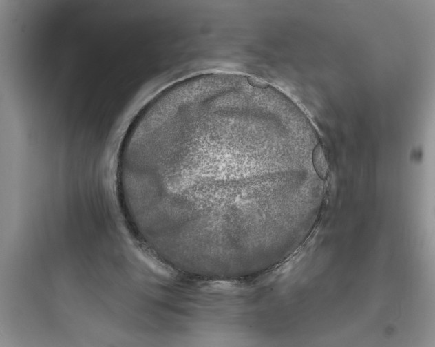 X0000097610151200803211730