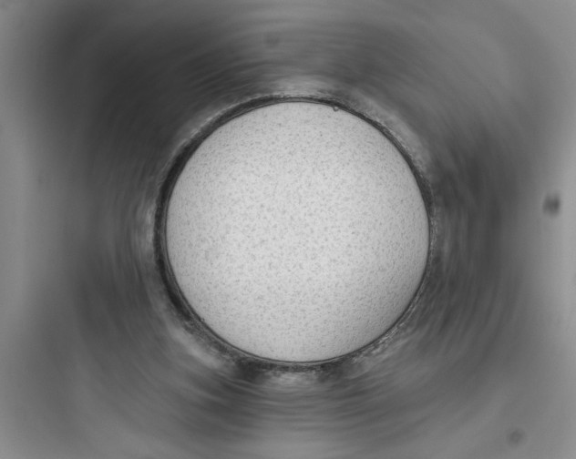 X0000097610155200803211730