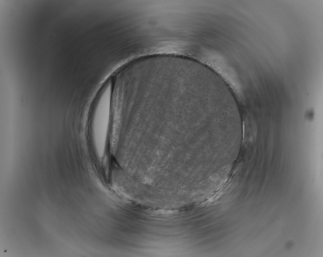 X0000097610156200803211730