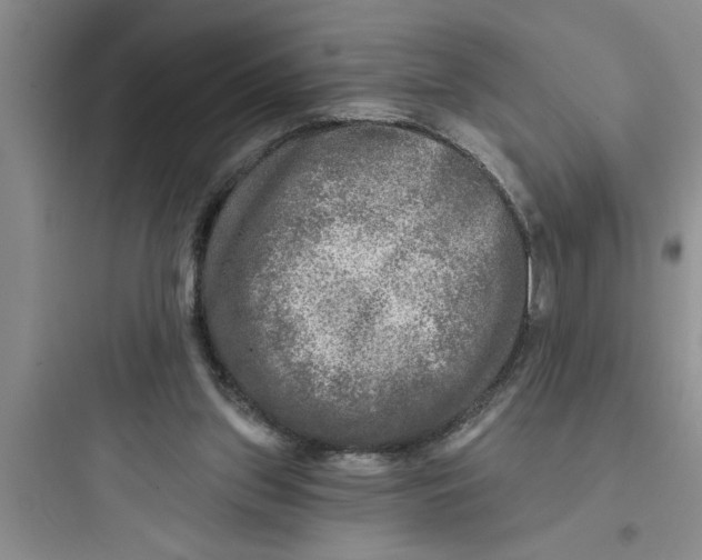 X0000097610157200803211730