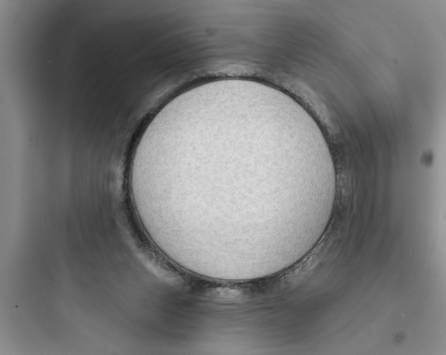 X0000097610159200803211730