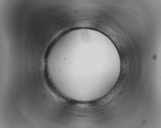 X0000097610160200803211730