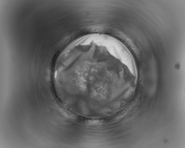 X0000097610161200803211730