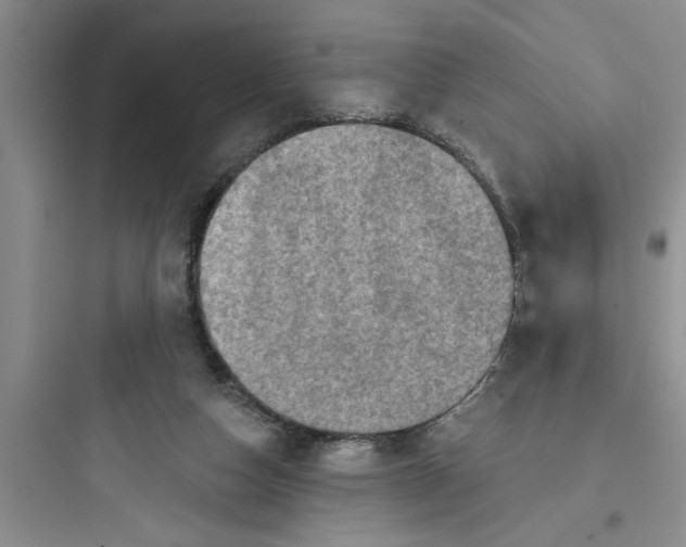 X0000097610162200803211730