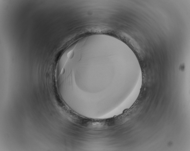 X0000097610163200803211730