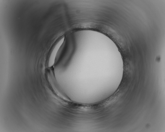 X0000097610164200803211730