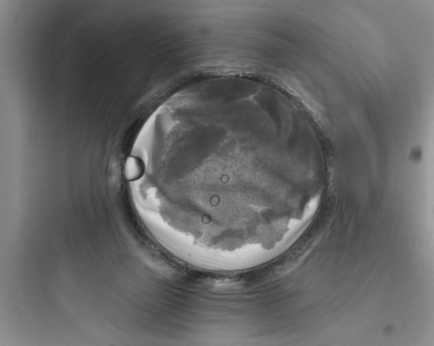 X0000097610165200803211730