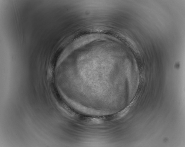 X0000097610166200803211730