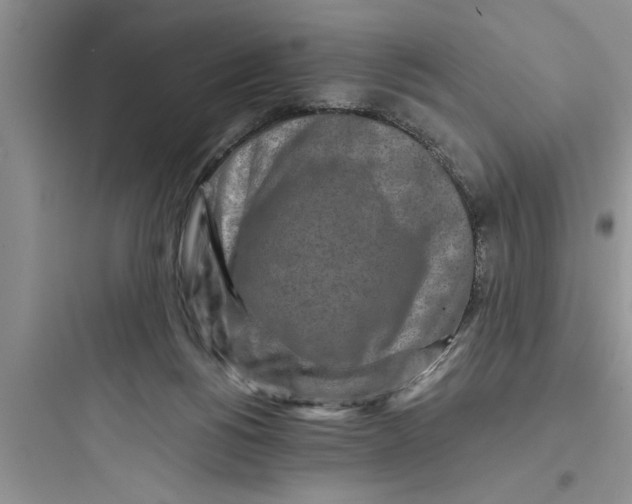 X0000097610168200803211730