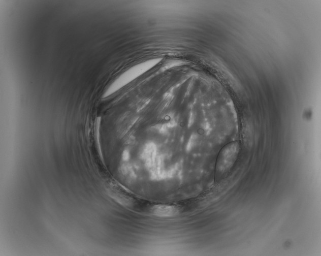 X0000097610169200803211730