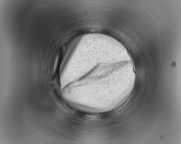 X0000097610170200803211730