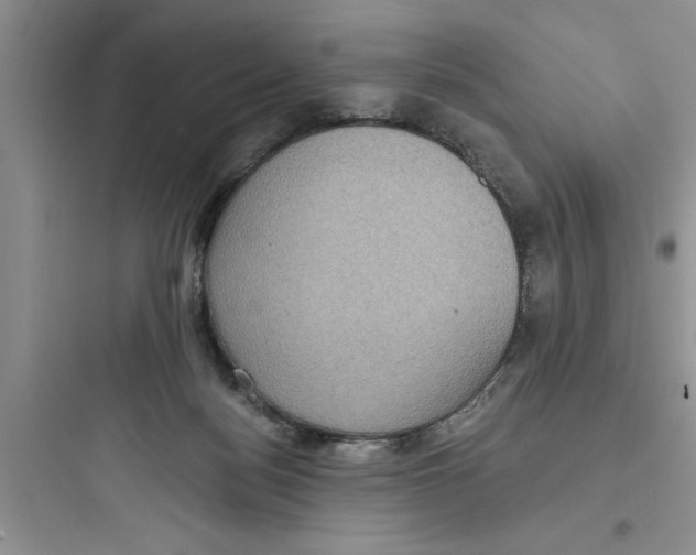 X0000097610172200803211731