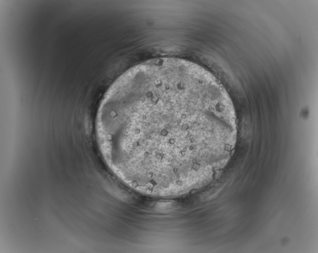 X0000097610173200803211731