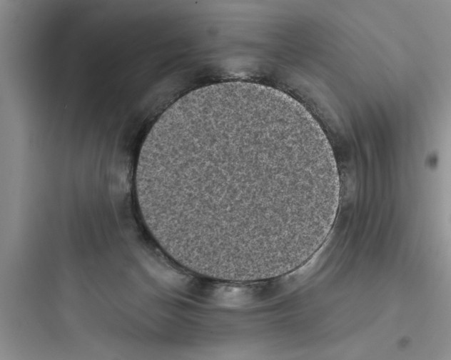 X0000097610174200803211731