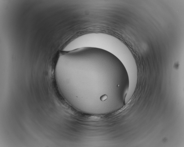 X0000097610176200803211731