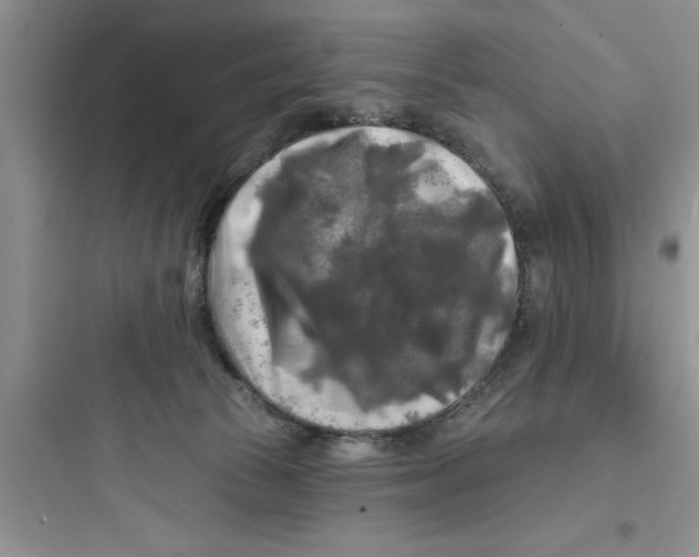 X0000097610177200803211731