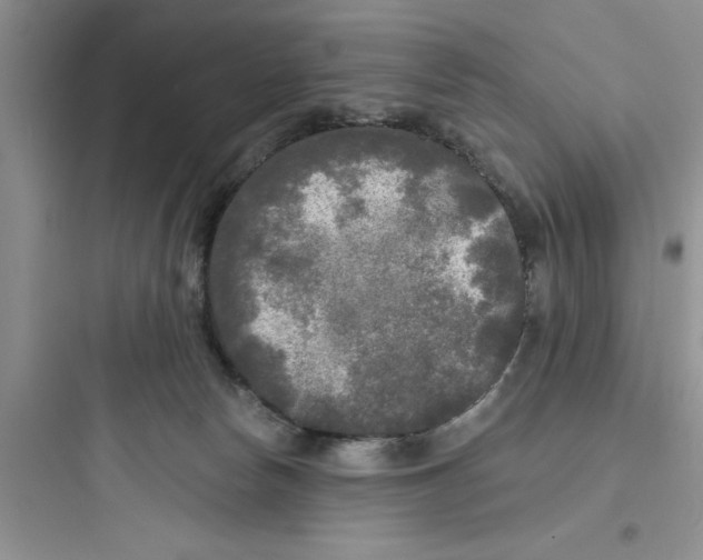 X0000097610178200803211731