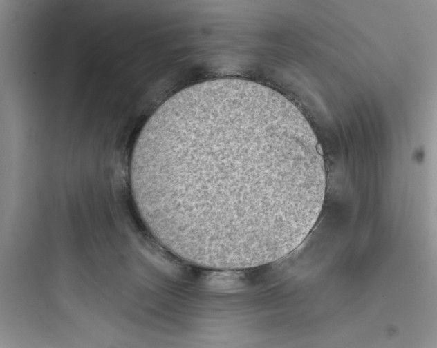 X0000097610179200803211731