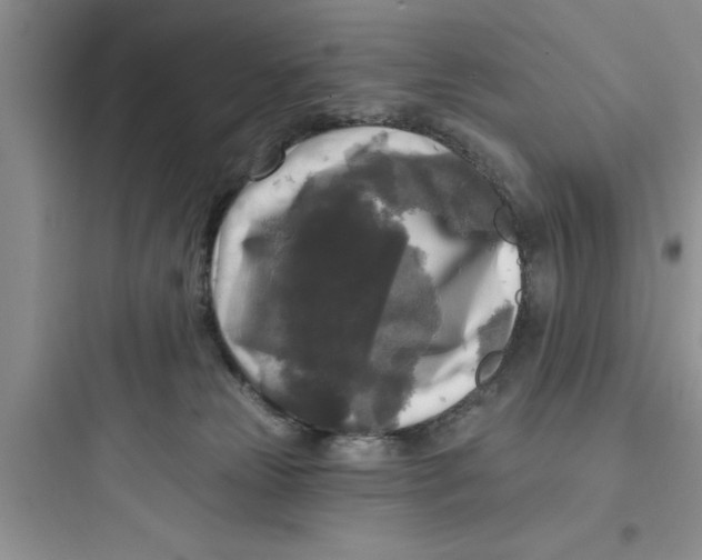 X0000097610181200803211731