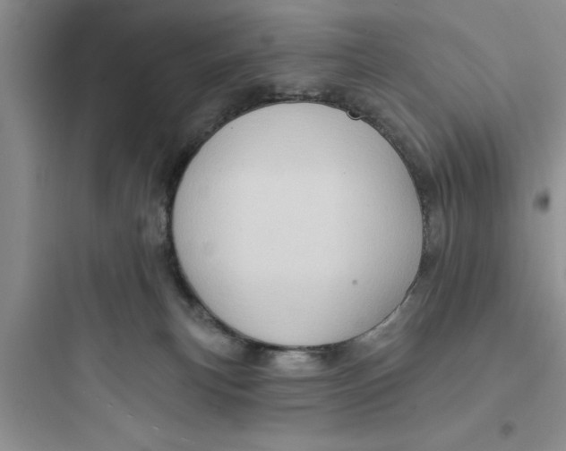 X0000097610183200803211731