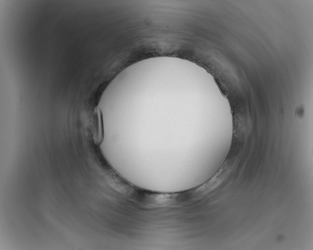 X0000097610184200803211731