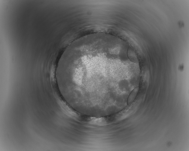 X0000097610185200803211731