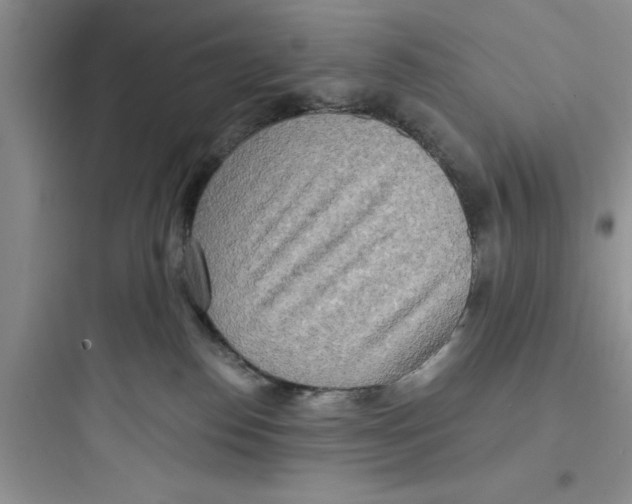 X0000097610186200803211731