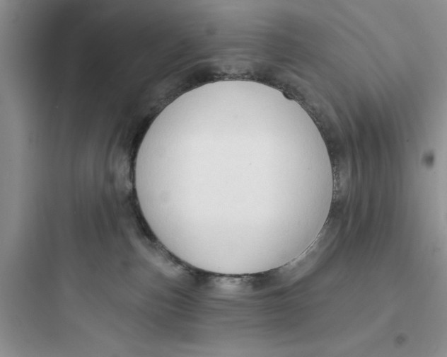 X0000097610187200803211731