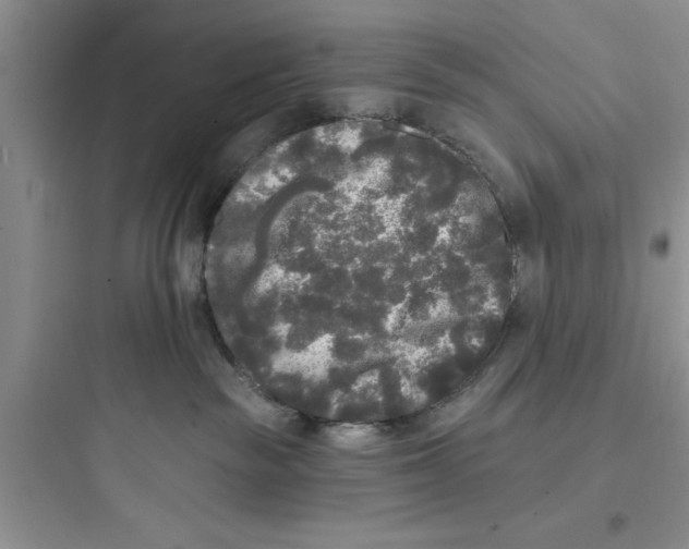 X0000097610189200803211731