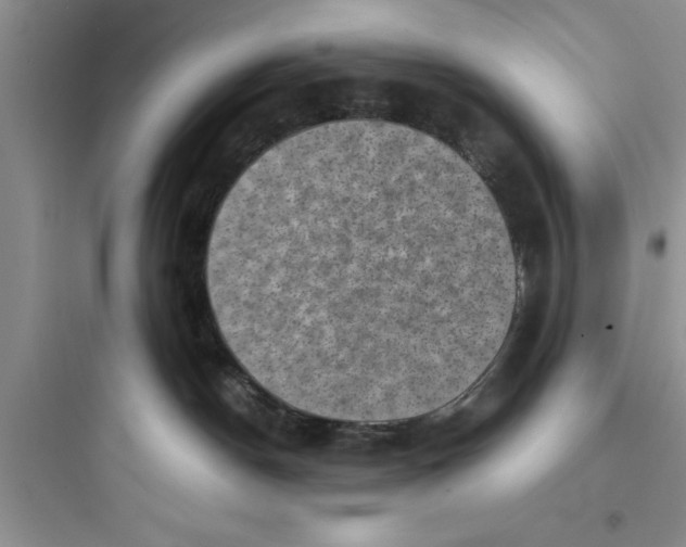 X0000097610190200803211731