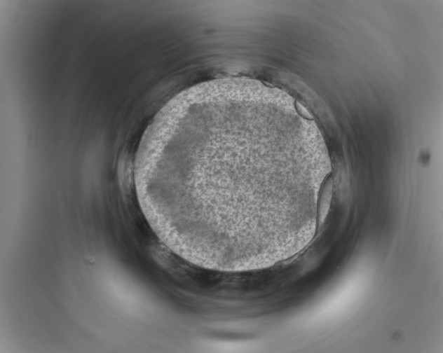 X0000097610191200803211731