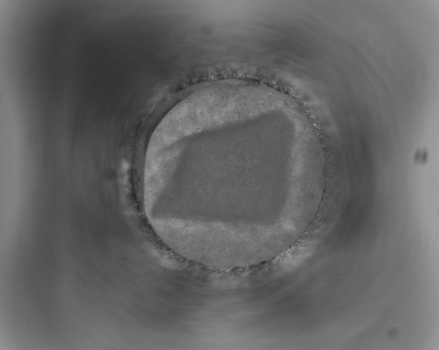 X0000097610192200803211731