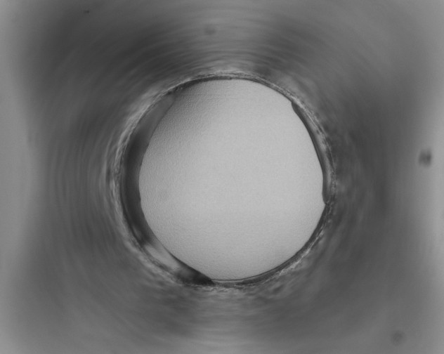 X0000097610193200803211730