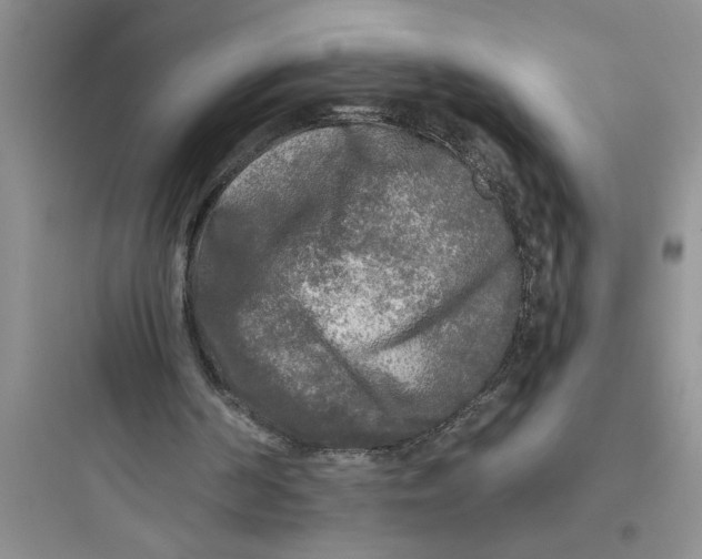 X0000097610194200803211730