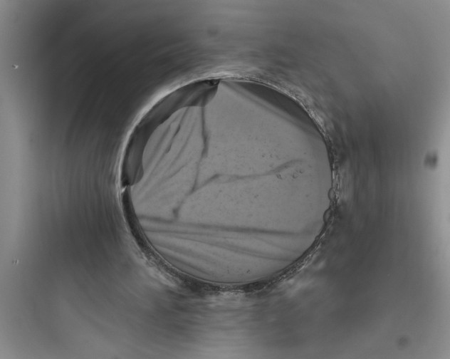 X0000097610196200803211730