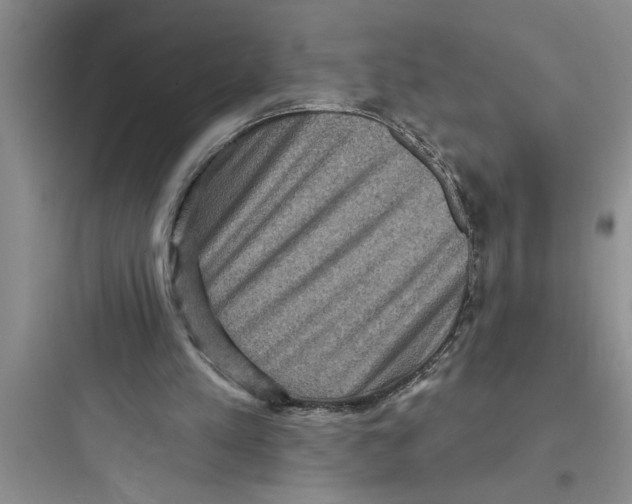 X0000097610197200803211730