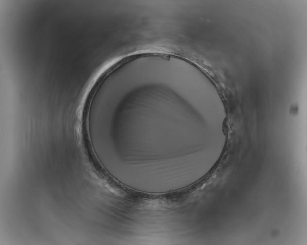 X0000097610200200803211730