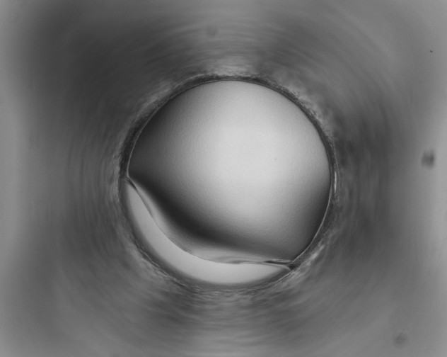 X0000097610201200803211730