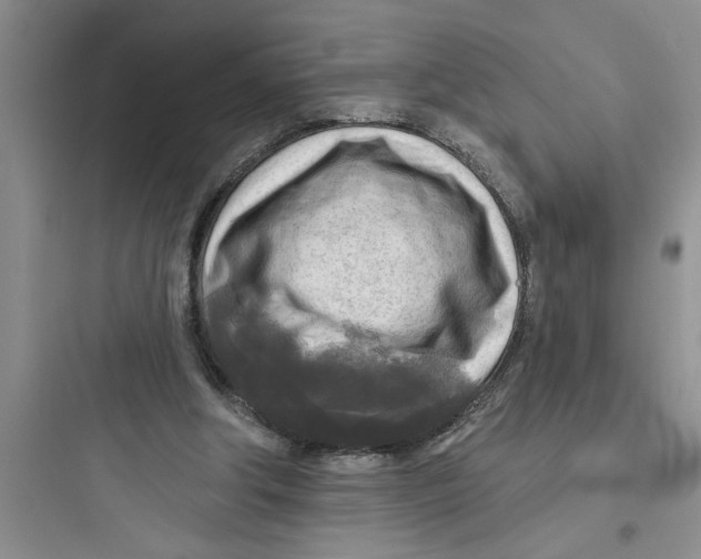 X0000097610202200803211730