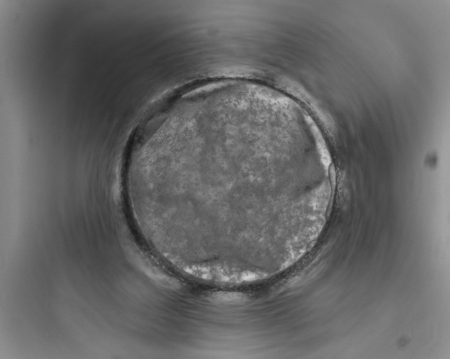 X0000097610203200803211730