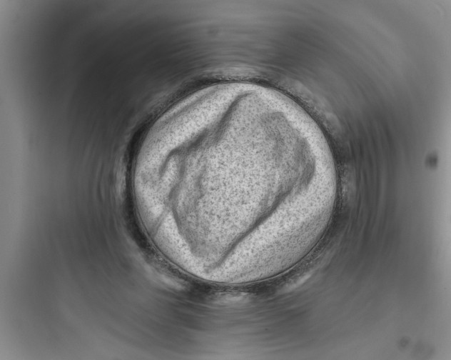 X0000097610206200803211730