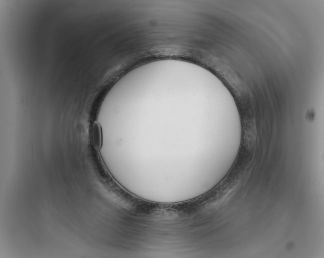 X0000097610207200803211730