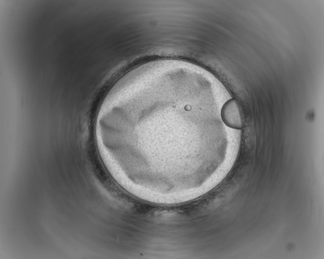 X0000097610208200803211730