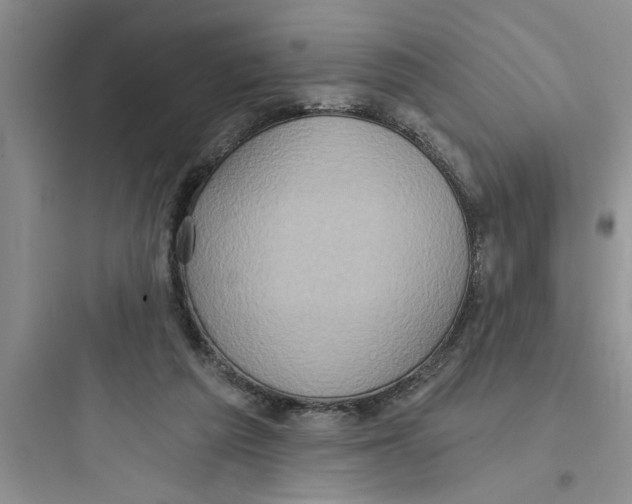 X0000097610209200803211730