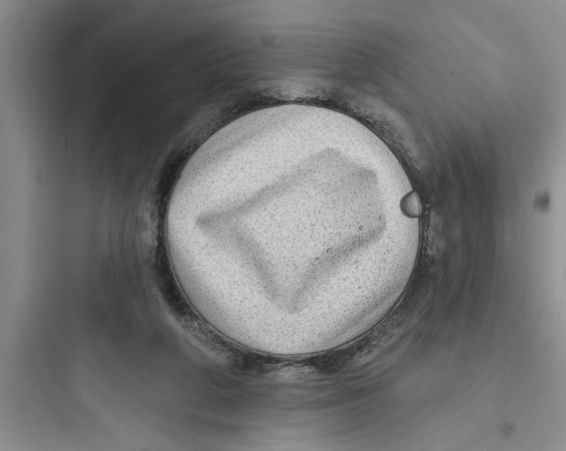 X0000097610210200803211730