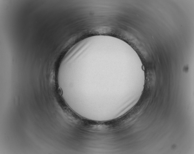 X0000097610212200803211730