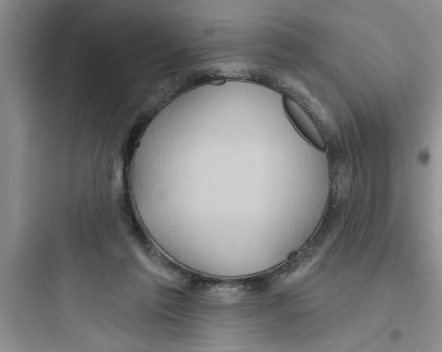 X0000097610213200803211730